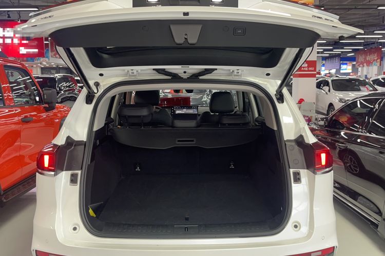 Used Wey Latte DHT-PHEV 2022 1.5T Four-Wheel Drive Extra-Large Version