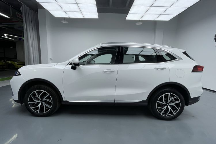 Used Wey Latte DHT-PHEV 2022 1.5T Four-Wheel Drive Extra-Large Version