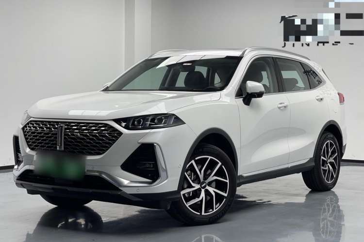 Used Wey Latte DHT-PHEV 2022 1.5T Four-Wheel Drive Extra-Large Version