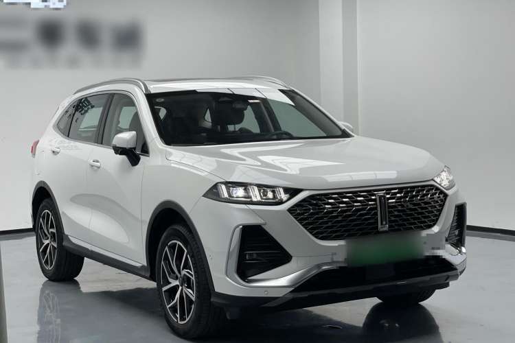 Used Wey Latte DHT-PHEV 2022 1.5T Four-Wheel Drive Extra-Large Version