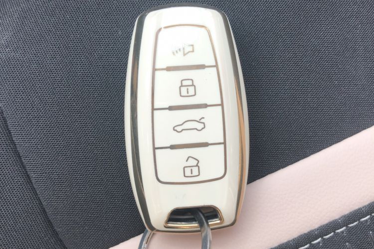 Used ORA Black Cat 2022 351 km Range Comfort Version Ternary Lithium