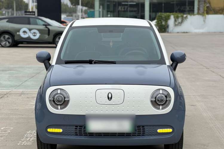 Used ORA Black Cat 2022 351 km Range Comfort Version Ternary Lithium