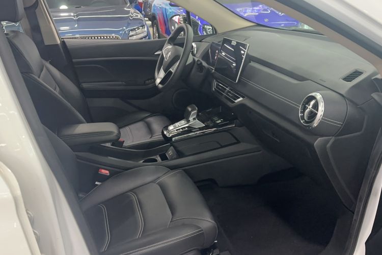 Used BYD Yuan New Energy 2019 EV535 Smart Connect Trendsetting Model Right Front Seat