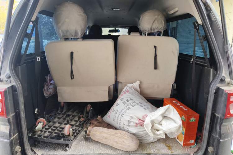 Used FORTHING Lingzhi 2021 M5L 2.0L Utility Model