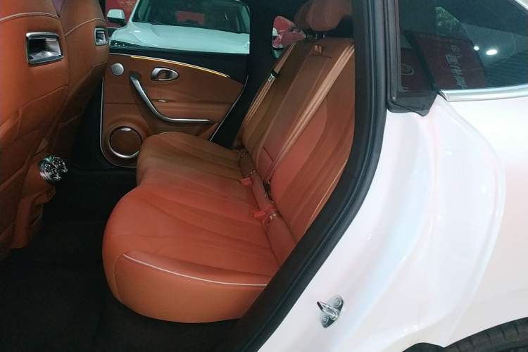 Used ORA Lightning Cat 2022 555 km Luxury Edition