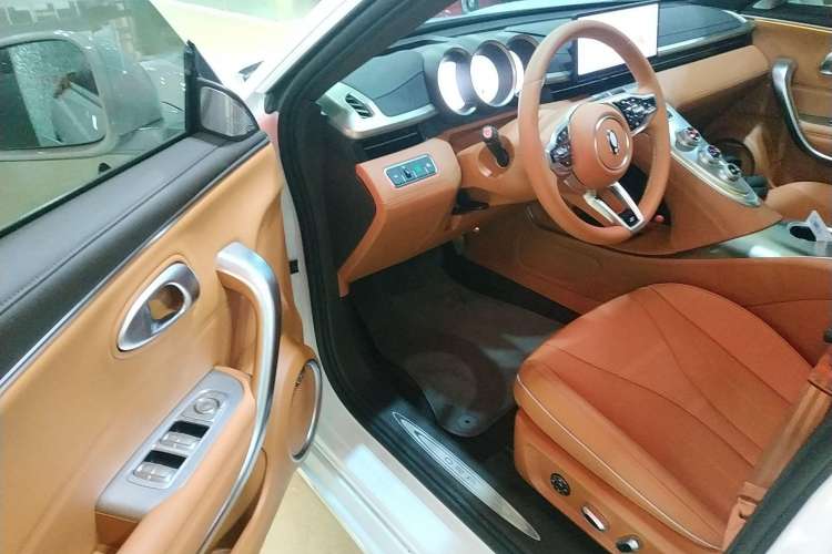 Used ORA Lightning Cat 2022 555 km Luxury Edition