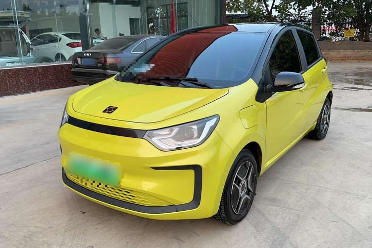 Used SOL E10X 2022 Flower Fairy Design Four-Leaf Clover