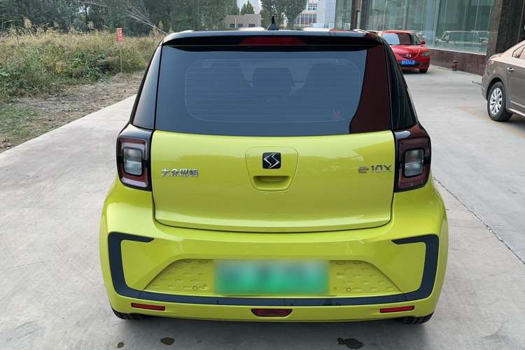 Used SOL E10X 2022 Flower Fairy Design Four-Leaf Clover