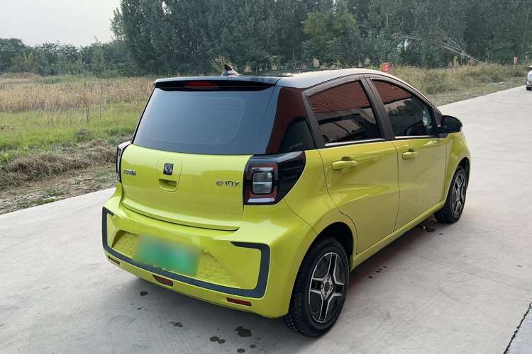 Used SOL E10X 2022 Flower Fairy Design Four-Leaf Clover