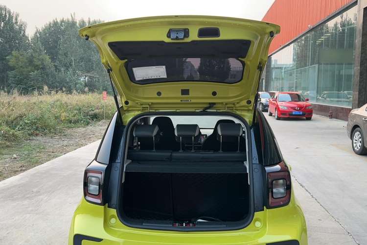 Used SOL E10X 2022 Flower Fairy Design Four-Leaf Clover