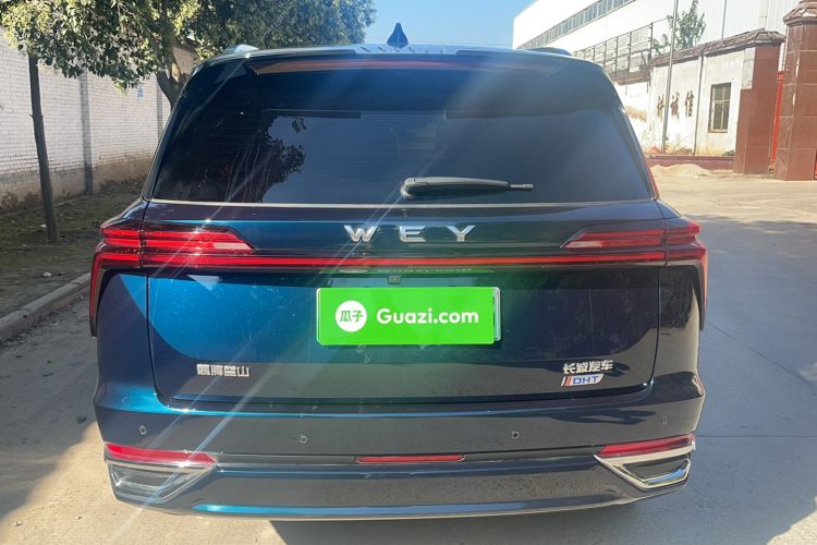 Used Wey Lanshan 2023 Four-Wheel Drive Ultra-Long Range Version