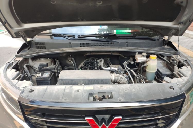 Used Wuling Hongguang PLUS 2019 1.5T Manual Luxury 7-Seater
