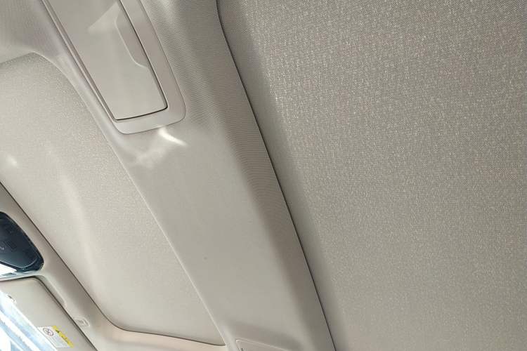 Used BMW 5 Series New Energy 2019 530Le Luxury Package Headliner