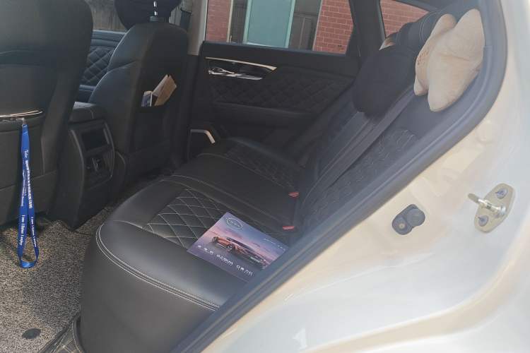 Used Venucia Star 2020 260T Automatic 48V Mild Hybrid Turbocharged Starry Edition Left Rear Seat