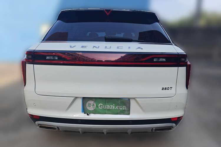 Used Venucia Star 2020 260T Automatic 48V Mild Hybrid Turbocharged Starry Edition Rear