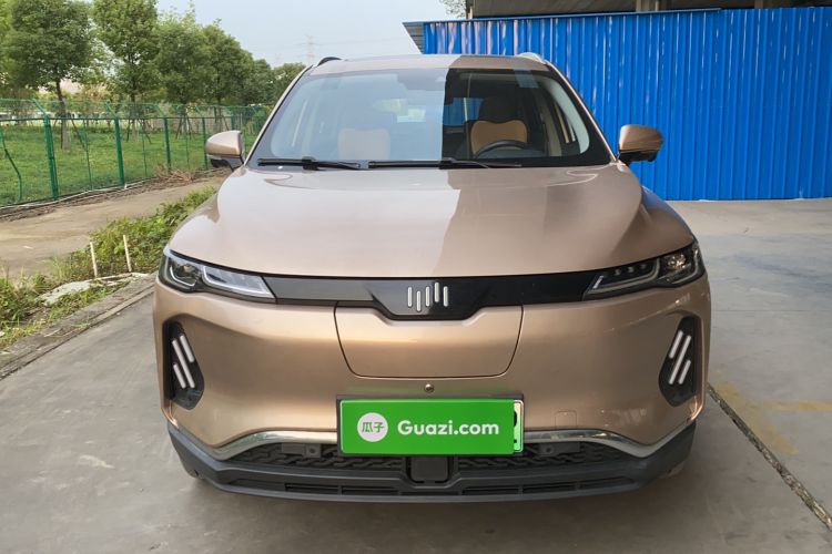 Used WM Motor EX6 2020 Plus Founder's Edition – First Launch