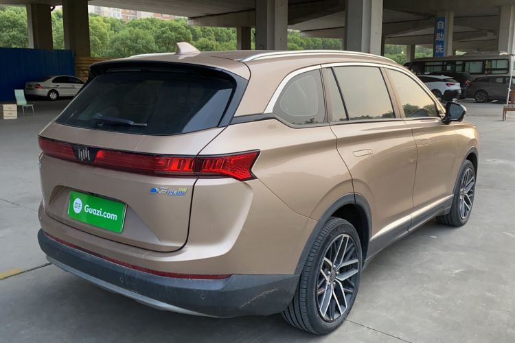 Used WM Motor EX6 2020 Plus Founder's Edition – First Launch