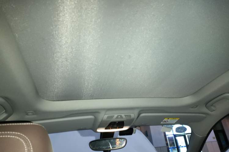 Used BMW X1 New Energy 2018 xDrive25Le Luxury Model Headliner