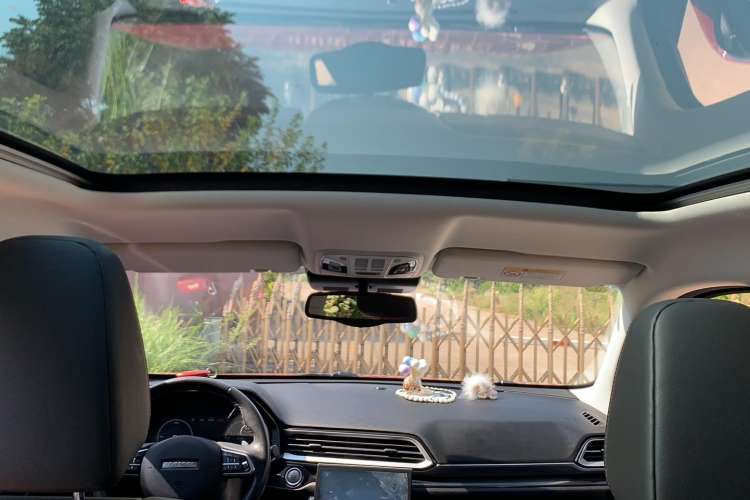 Used Haval F5 2019 National Trend Edition 1.5T i-Trend China VI Standard
