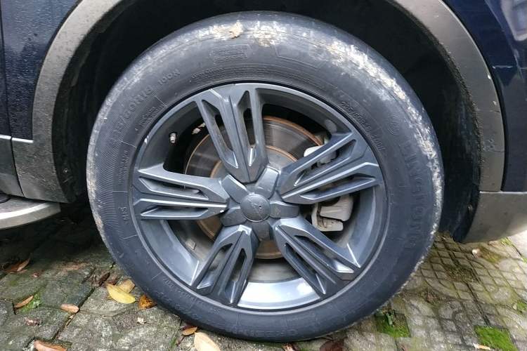 Used Leopaard CS10 2017 2.0T Automatic Leading Model