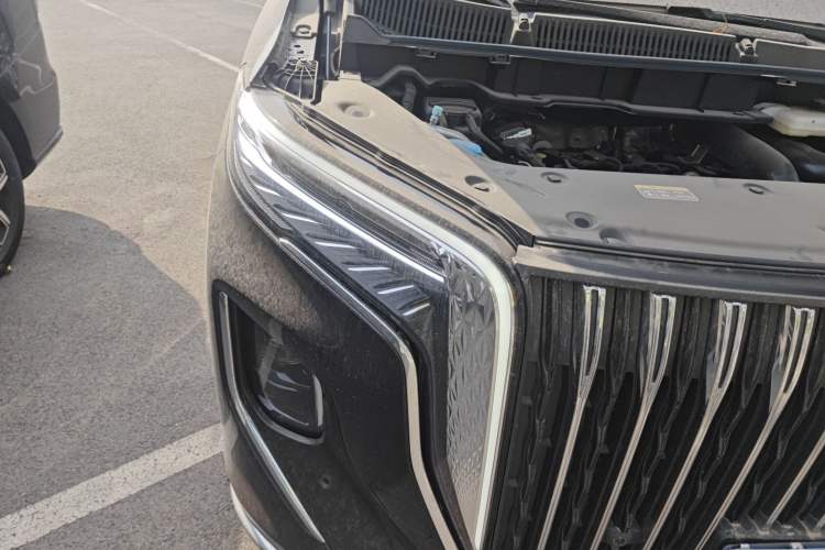 Used Hongqi HQ9 2023 2.0T Smart Connect Flagship Edition