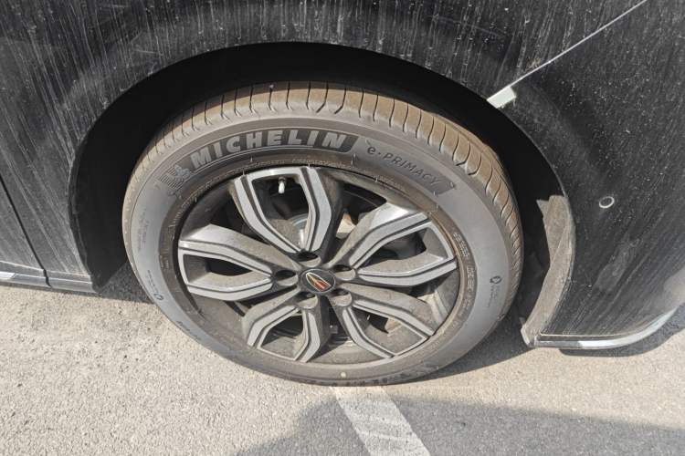 Used Hongqi HQ9 2023 2.0T Smart Connect Flagship Edition