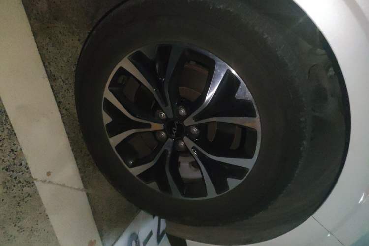 Used Kia Carnival 2021 2.0T Flagship Edition
