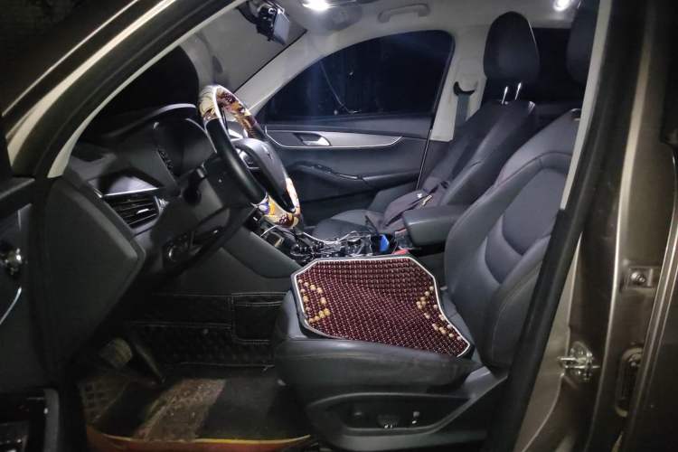 Used BORGWARD BX5 2020 20TGDI Automatic Two-Wheel Drive Pioneer Edition