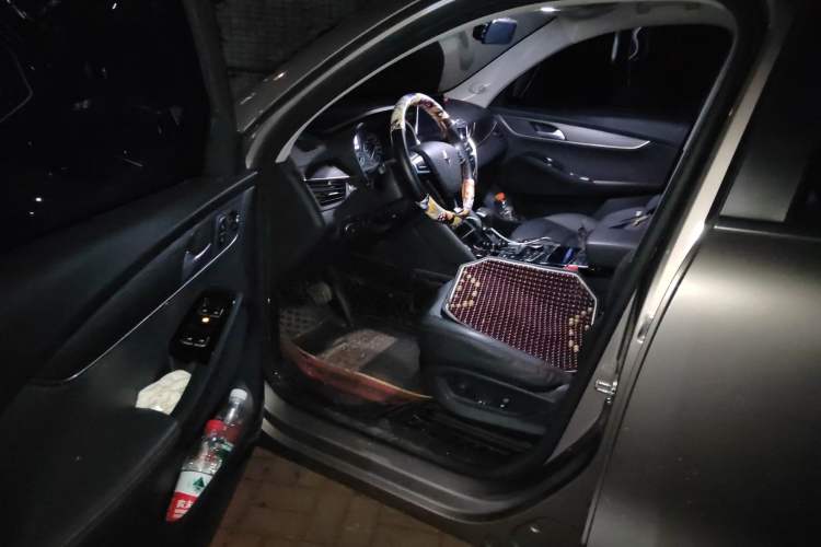 Used BORGWARD BX5 2020 20TGDI Automatic Two-Wheel Drive Pioneer Edition