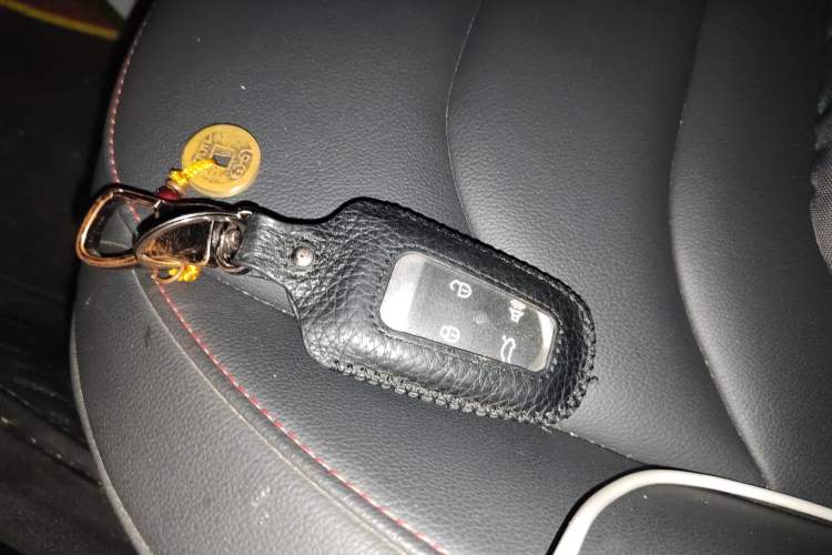 Used BORGWARD BX5 2020 20TGDI Automatic Two-Wheel Drive Pioneer Edition