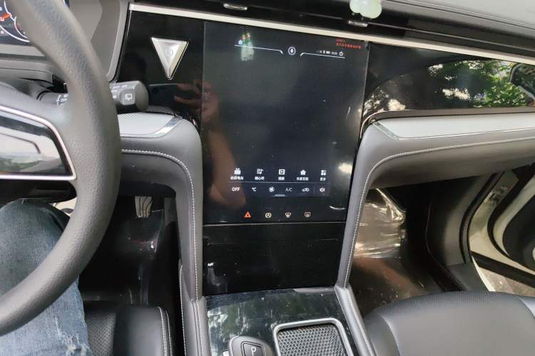 Used Venucia Star 2020 260T Automatic XingShang Edition