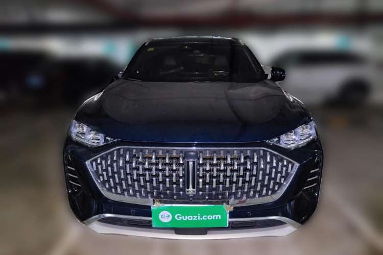 Used Wey Mocha 2021 2.0T Four-Wheel Drive Premium Edition