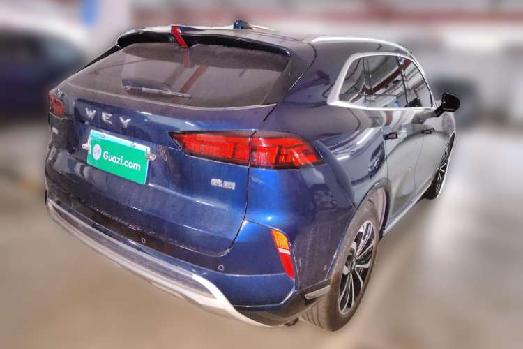 Used Wey Mocha 2021 2.0T Four-Wheel Drive Premium Edition