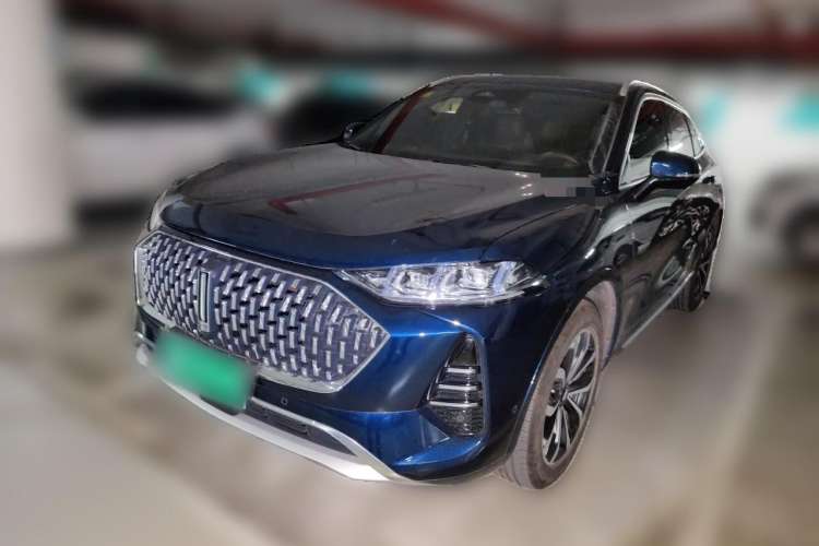 Used Wey Mocha 2021 2.0T Four-Wheel Drive Premium Edition