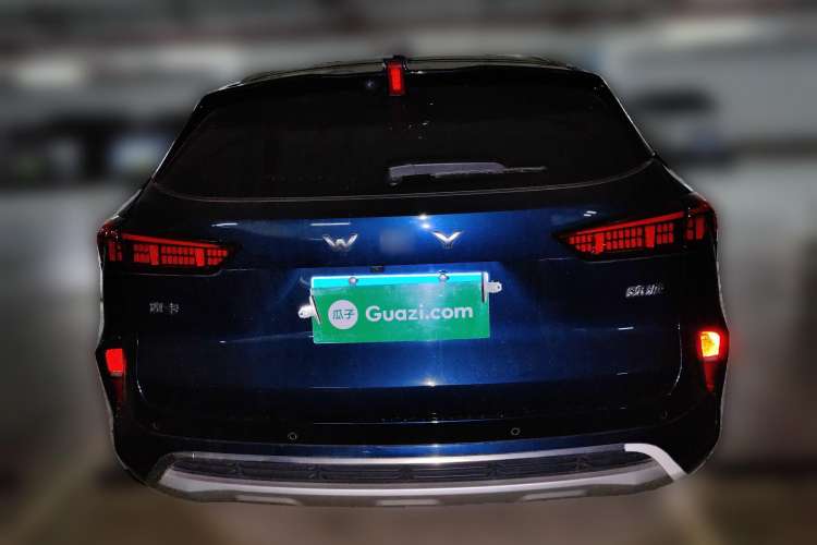 Used Wey Mocha 2021 2.0T Four-Wheel Drive Premium Edition