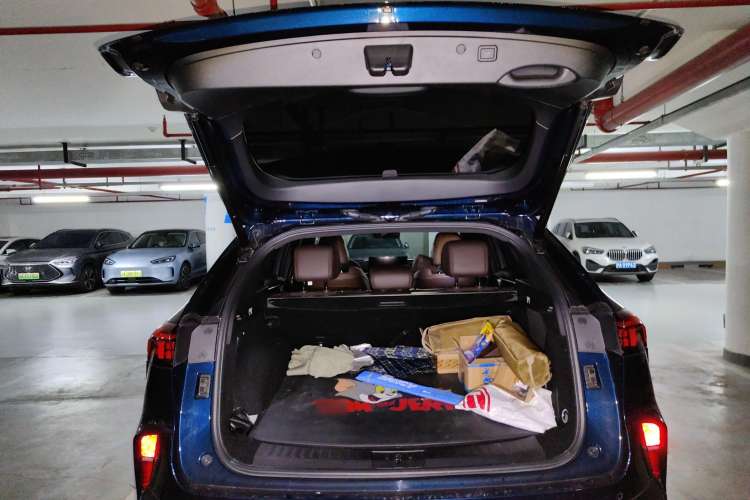 Used Wey Mocha 2021 2.0T Four-Wheel Drive Premium Edition