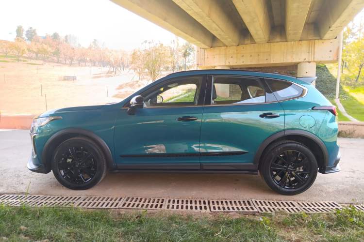 Used Haval LHERY 2021 High-Performance Version 1.5T Golden Rabbit