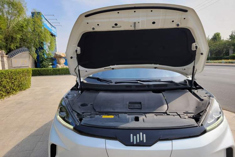 Used WM Motor EX5 2019 EX5 Lite Exploration Edition 520
