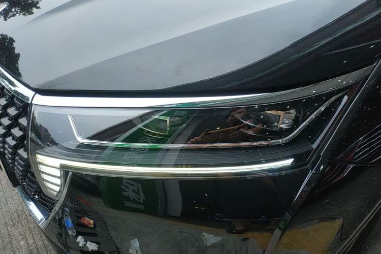 Used Venucia Star 2020 260T Automatic XingShang Edition
