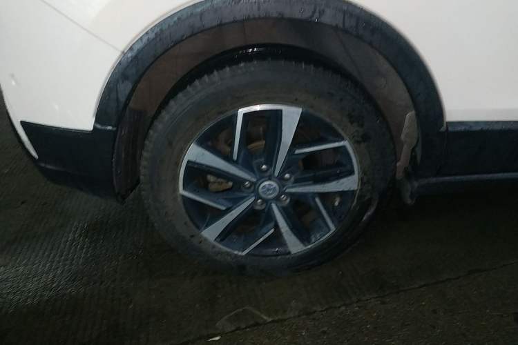 Used Venucia T60EV 2020 AI Flagship Model