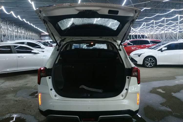 Used Venucia T60EV 2020 AI Flagship Model