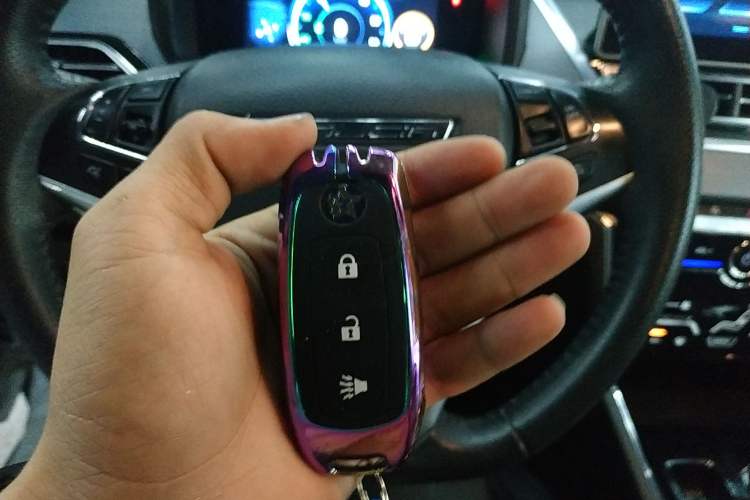 Used Venucia T60EV 2020 AI Flagship Model