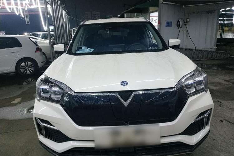 Used Venucia T60EV 2020 AI Flagship Model