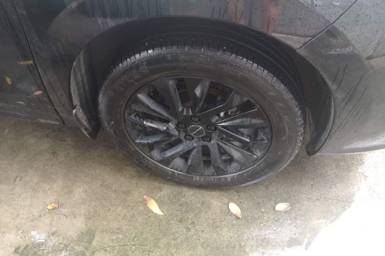 Used FORTHING T5L 2020 1.5T Automatic Luxury 7-Seater China VI Standard