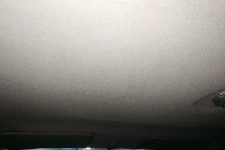 Used Dongfeng Ruichi 2013 2.2T Diesel Two-Wheel Drive Standard Version ZD22TE
