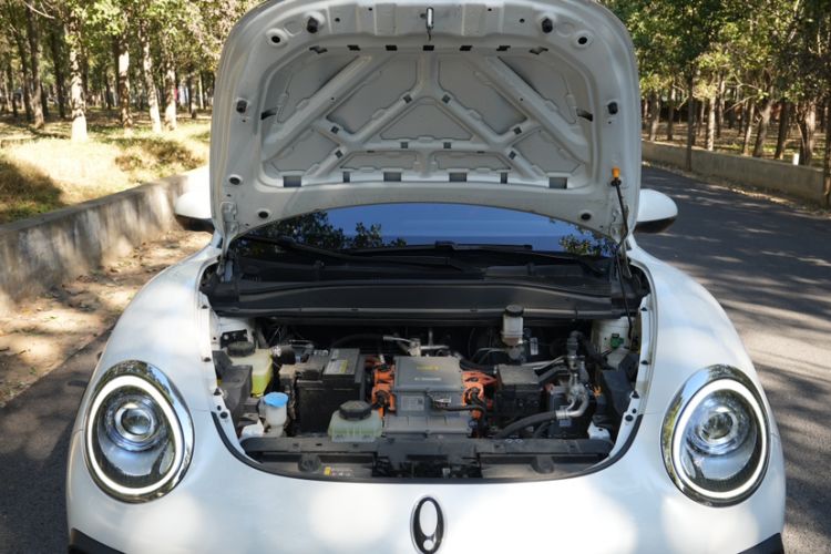 Used ORA Good Cat GT 2022 Mulan Edition 480km Long-Range续航