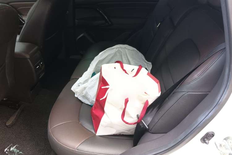 Used GAC Trumpchi GS4 New Energy 2017 1.5L PHEV Smart Enjoyment Edition Left Rear Seat