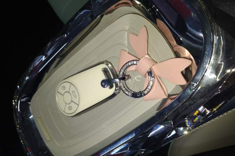 Used ORA Ballet Cat 2022 401 km Nutcracker Edition
