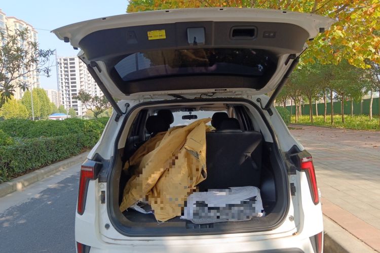 Used SOL X8 PLUS 2023 1.5 TGDI DCT Smart Edition 6-Seater
