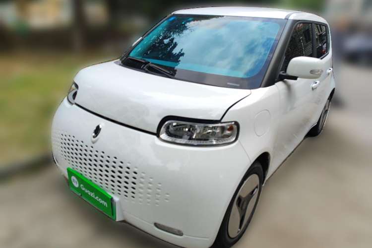 Used ORA White Cat 2020 360 km Luxury Version